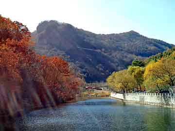 澳门精准正版免费大全14年新，让子弹飞一会